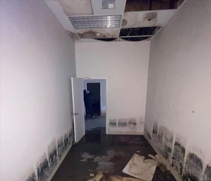 Photo of Commercial Flood loss
