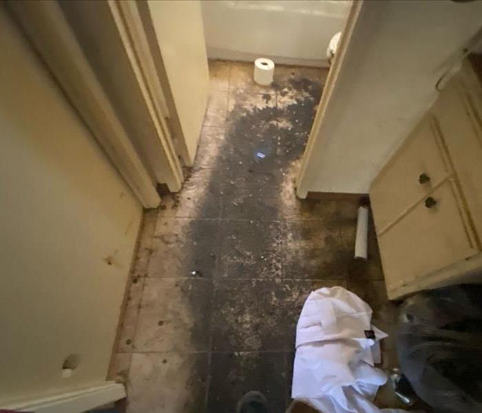 Biohazard job